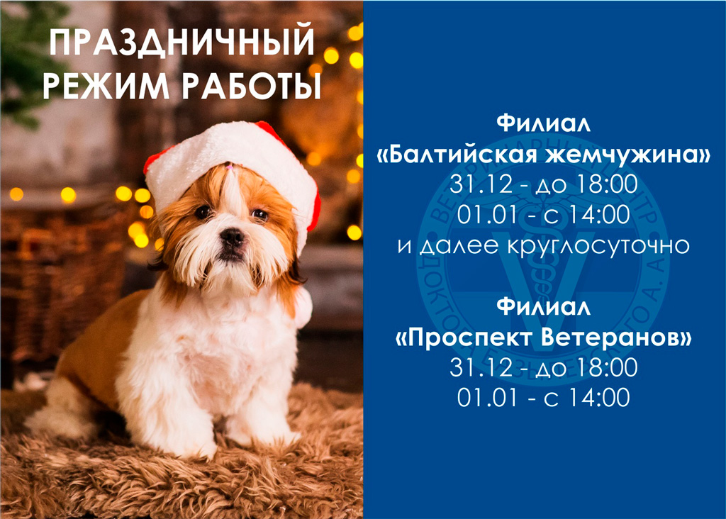 ветеринарная клиника новогодний режим работы