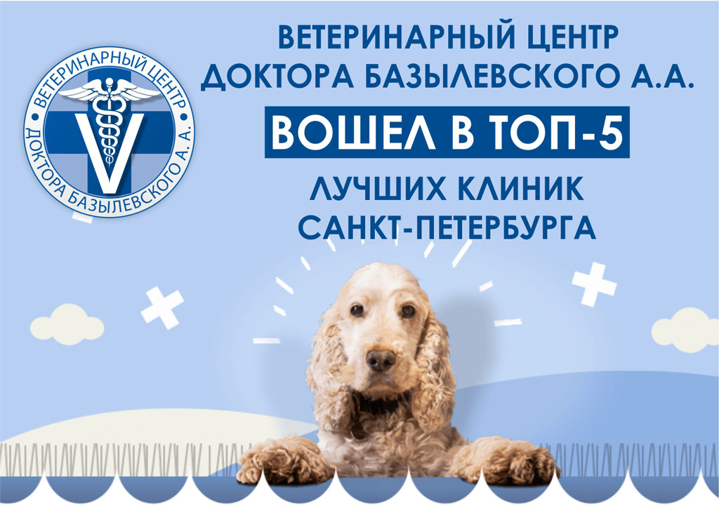 luchshie-veterinarnye-kliniki-spb Лучшие ветеринарные клиники Санкт-Петербурга