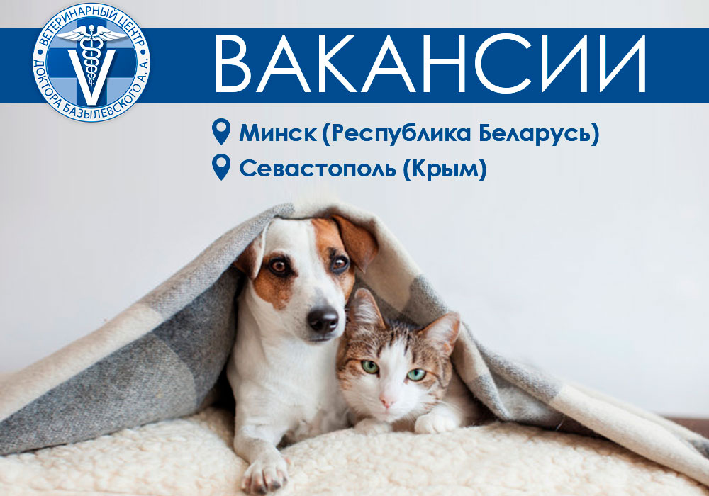 вакансии