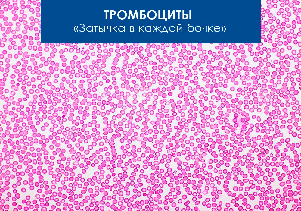 Тромбоциты