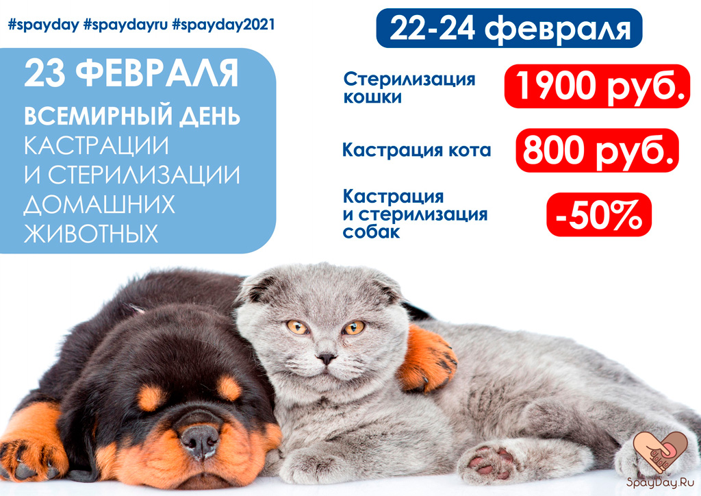 vsemirnyy-den-sterilizacii-i-kastracii-zhivotnyh-2021 Всемирный день стерилизации и кастрации животных 2021