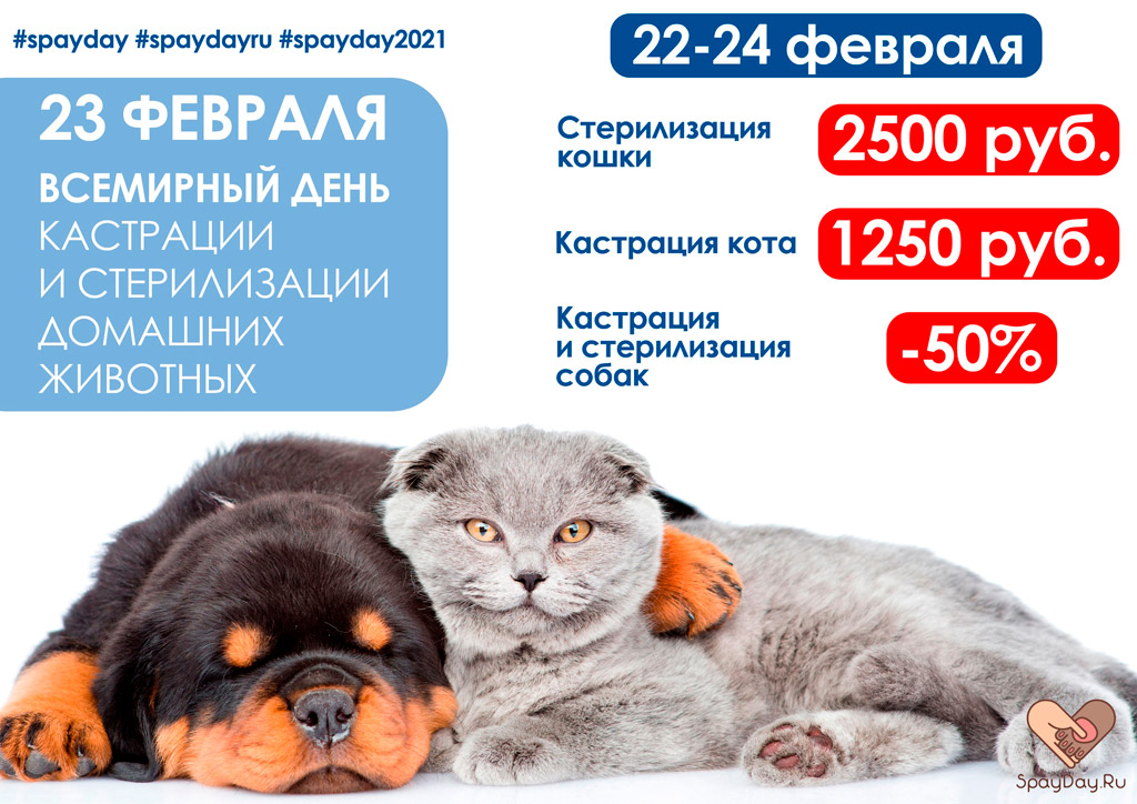 vsemirnyy-den-sterilizacii-i-kastracii Всемирный день стерилизации и кастрации животных 2021
