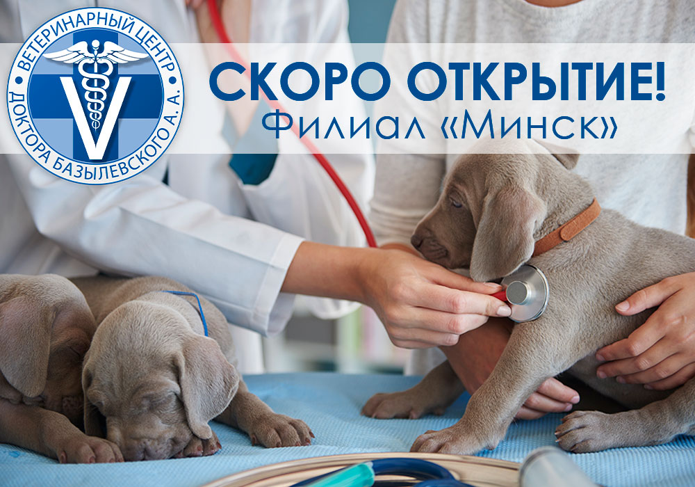 Открытие нового филиала в Минске