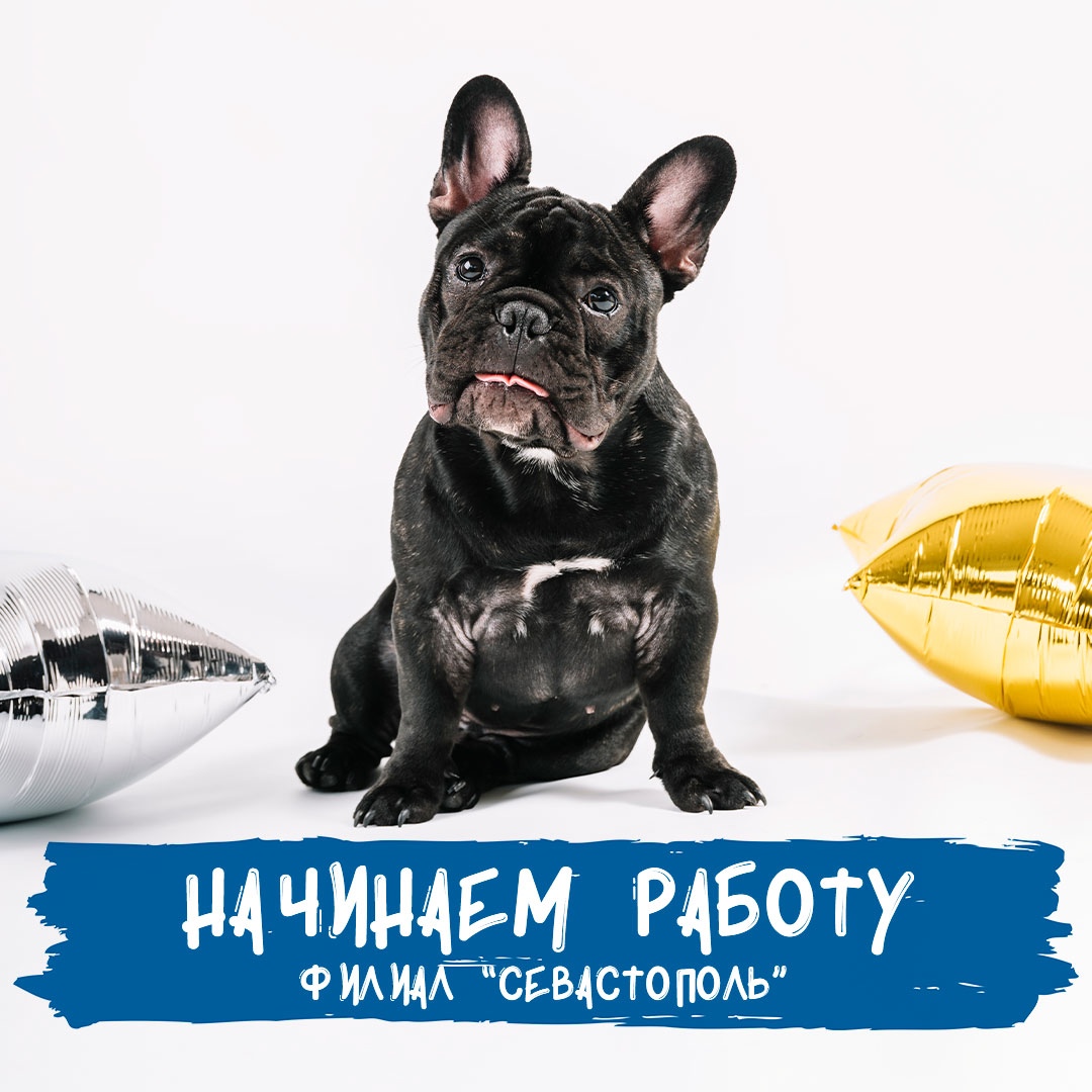 Открылся новый филиал в Севастополе