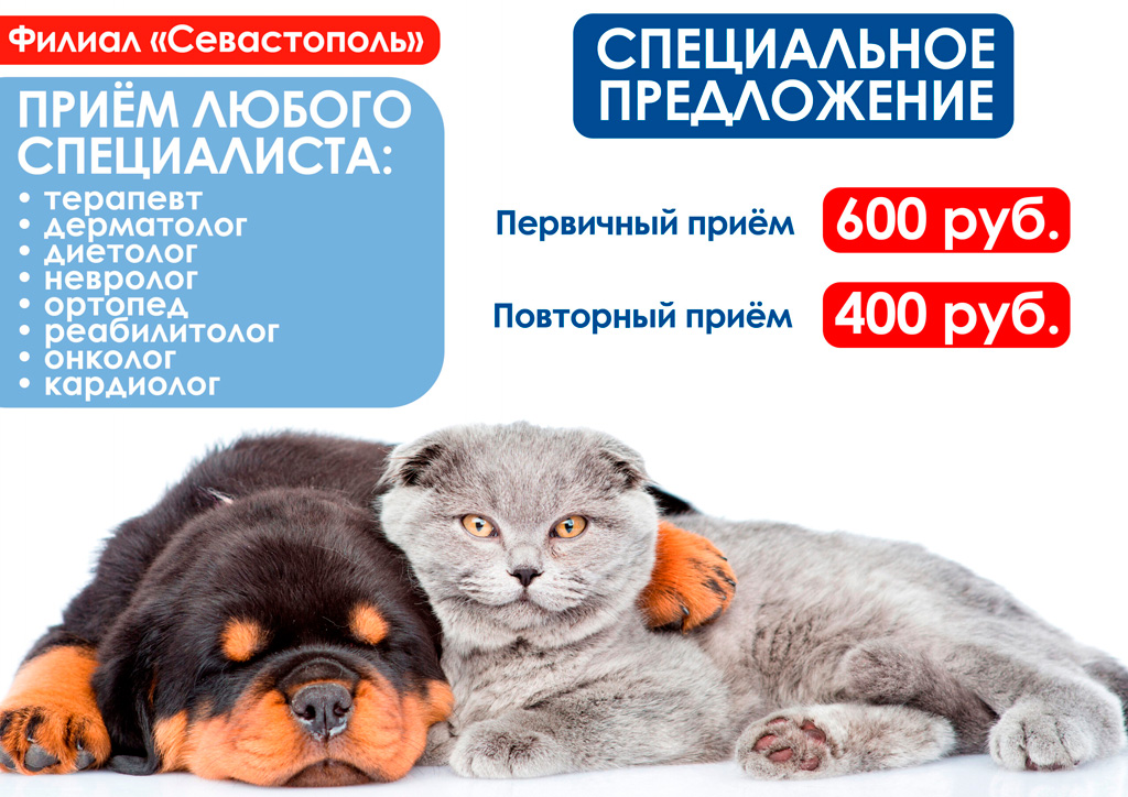 Специальное предложение