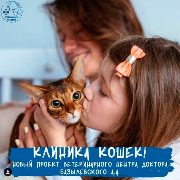 devochka-celuet-koshku А у нас Большие Новости!