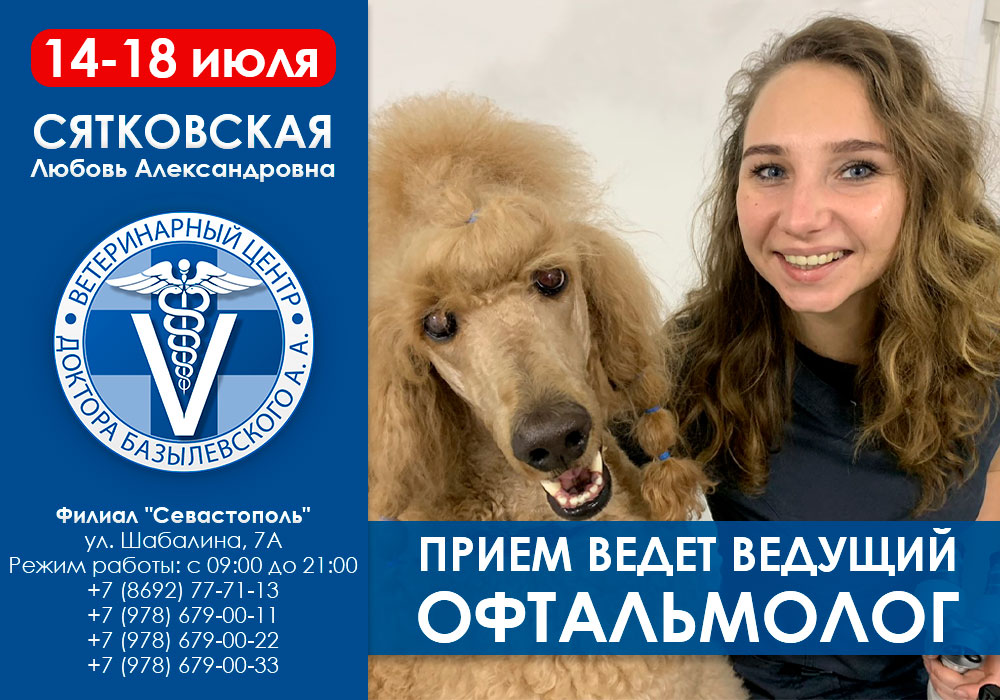 Ветеринарный офтальмолог в крыму