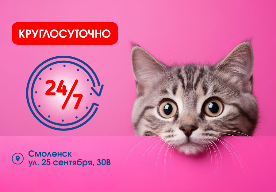 Смоленск 24/7