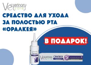 VL6FZrzPy1E-300x214 В филиале Севастополь скидки на чистку ротовой полости