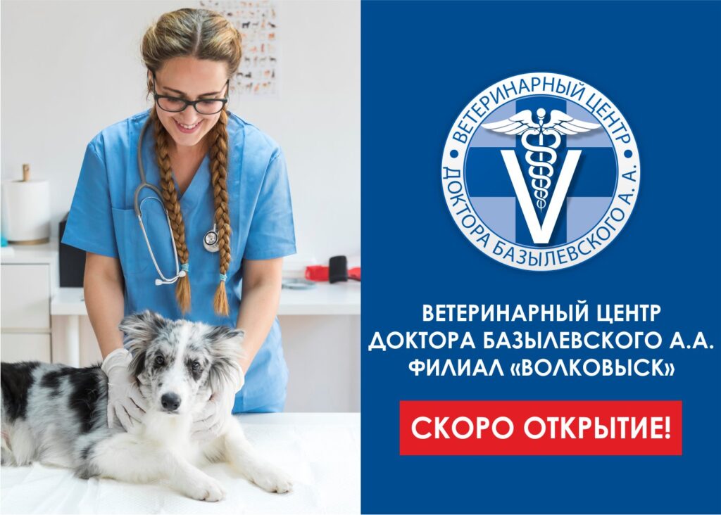 VOLKOVYSK-1024x732 Скоро открытие филиала в Волковыске, Беларусь!