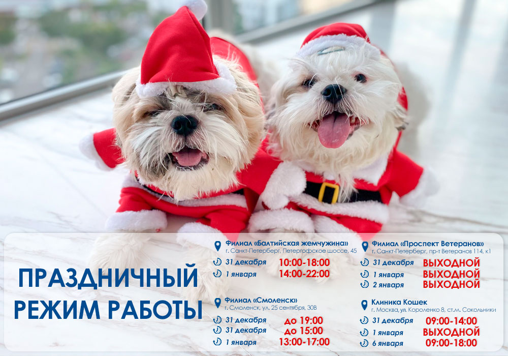 График работы на новогодние праздники