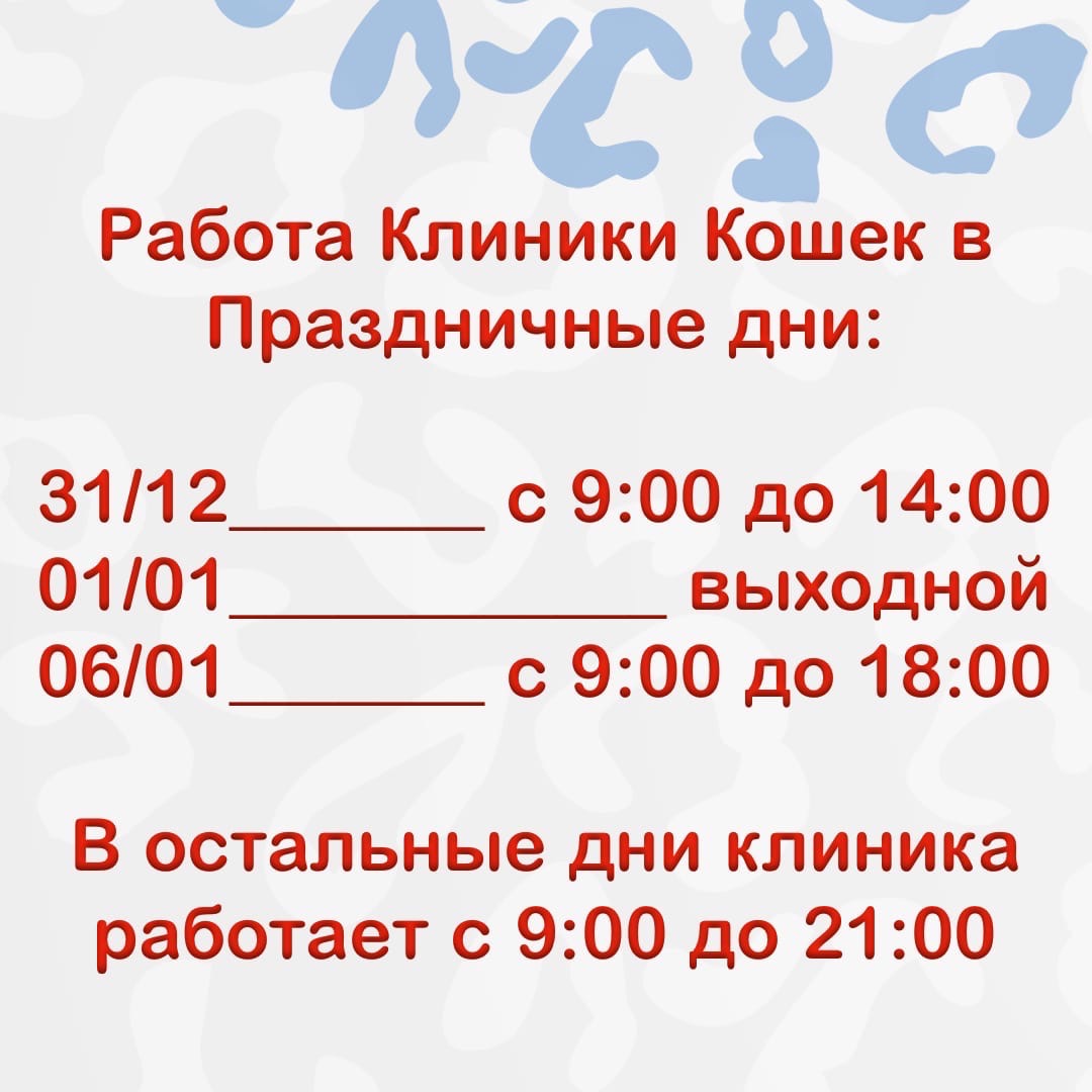 График работы Клиники Кошек на новогодние праздники