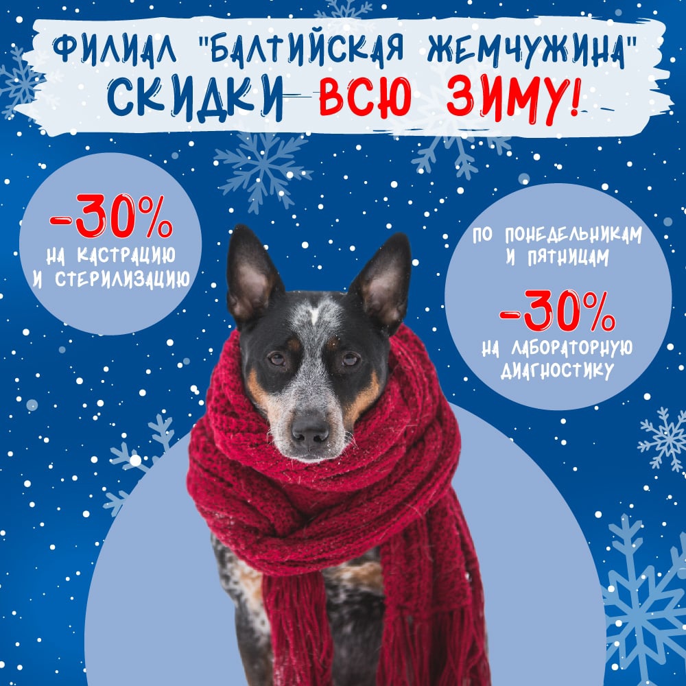 Специальное предложение от филиала Балтийская жемчужина