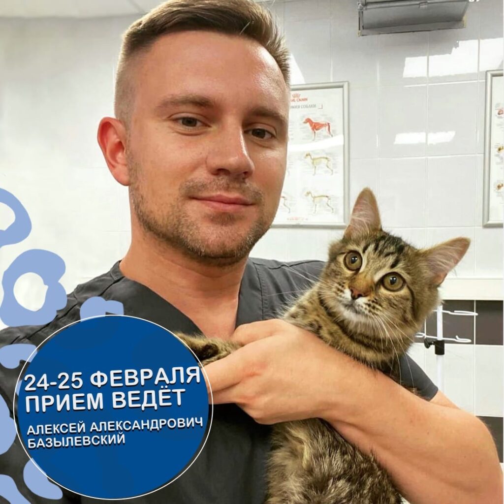 24-25-fevralya-v-klinike-koshek-bazylevskiy-1024x1024 В Клинике Кошек будет вести приемы Алексей Александрович Базылевский!