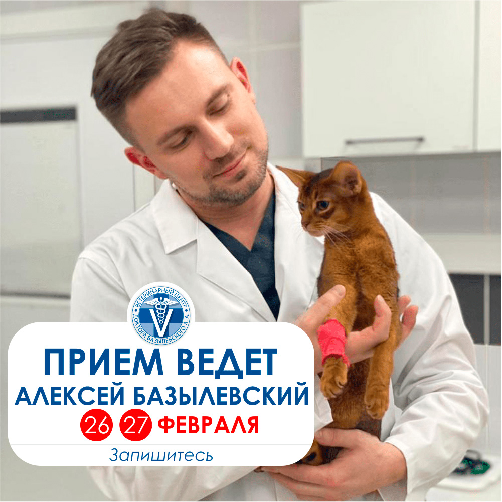 Прием у Базылевского А.А.
