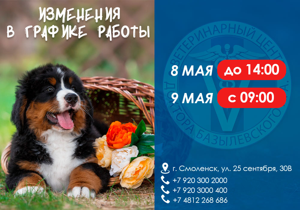 izmeneniya-v-grafike-raboty-smolensk-1 ИЗМЕНЕНИЯ В ГРАФИКЕ РАБОТЫ