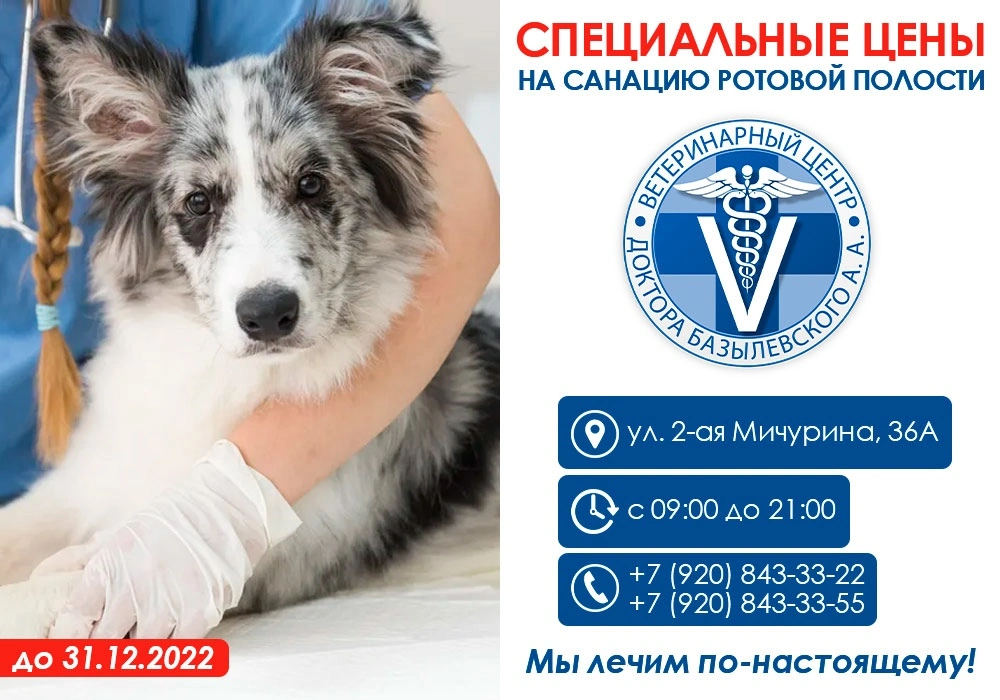 Фиксированная цена на санацию ротовой полости