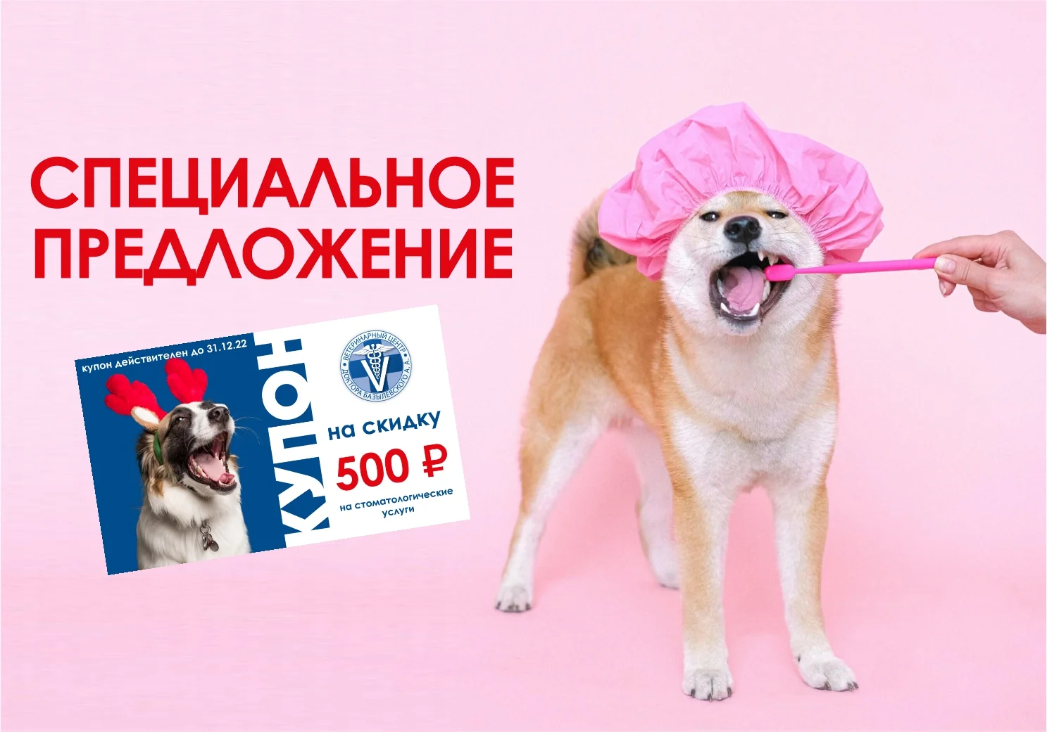 Купон ветеринарной стоматалогии