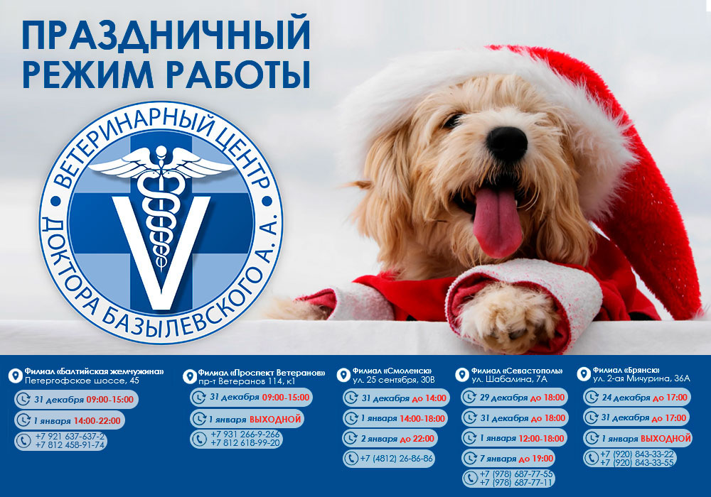 grafik-raboty-na-novogodnie-prazdniki ГРАФИК РАБОТЫ НА НОВОГОДНИЕ ПРАЗДНИКИ