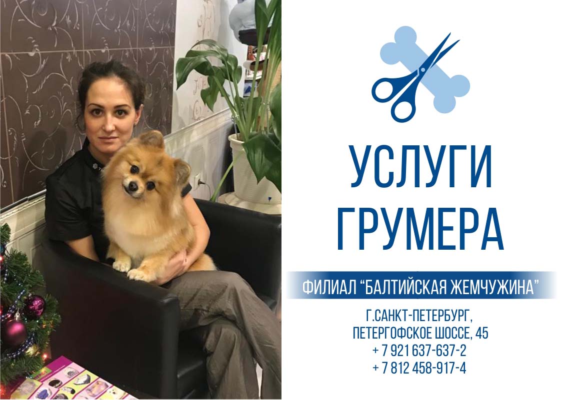 Услуги грумера для собаки