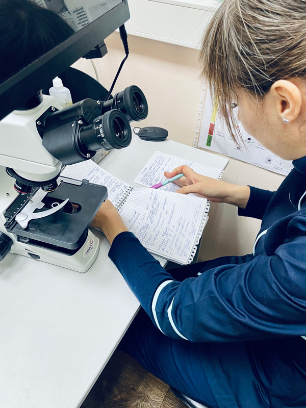veterinarnyy-vrach-izuchaet-laboratornye-rezultaty Общая информация по лабораторной диагностике