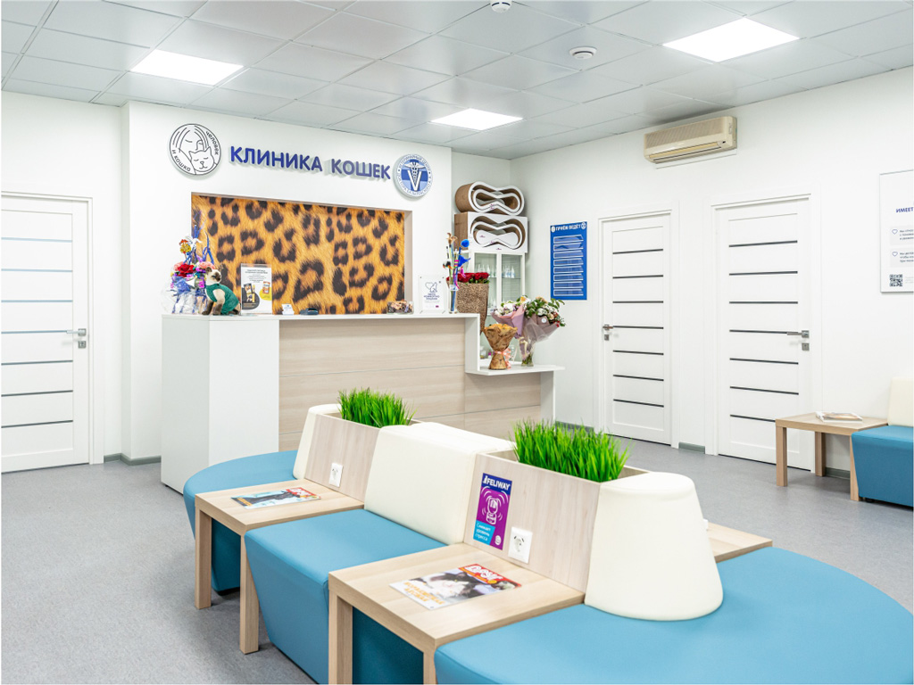 klinika-koshek-msk Контакты