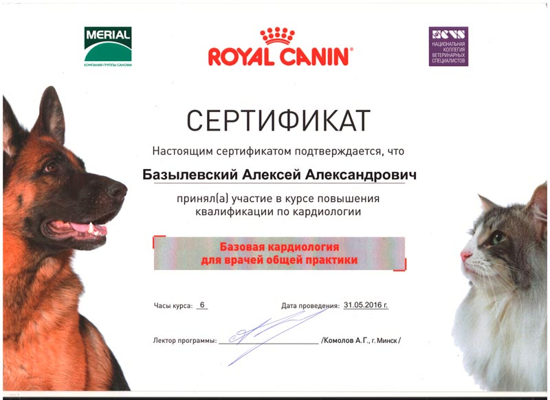 sertifikat-15 Базылевский Алексей Александрович