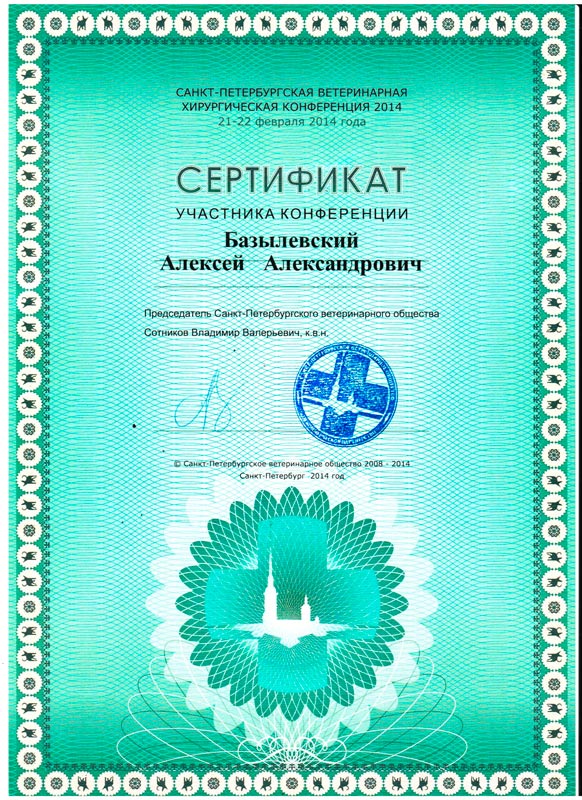 sertifikat-27 Базылевский Алексей Александрович