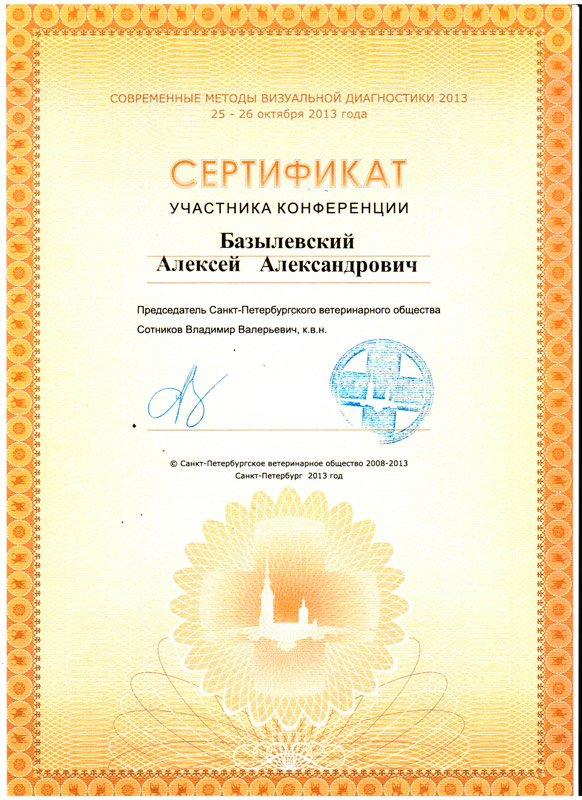 sertifikat-28 Базылевский Алексей Александрович