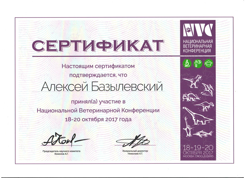 sertifikat-50 Базылевский Алексей Александрович