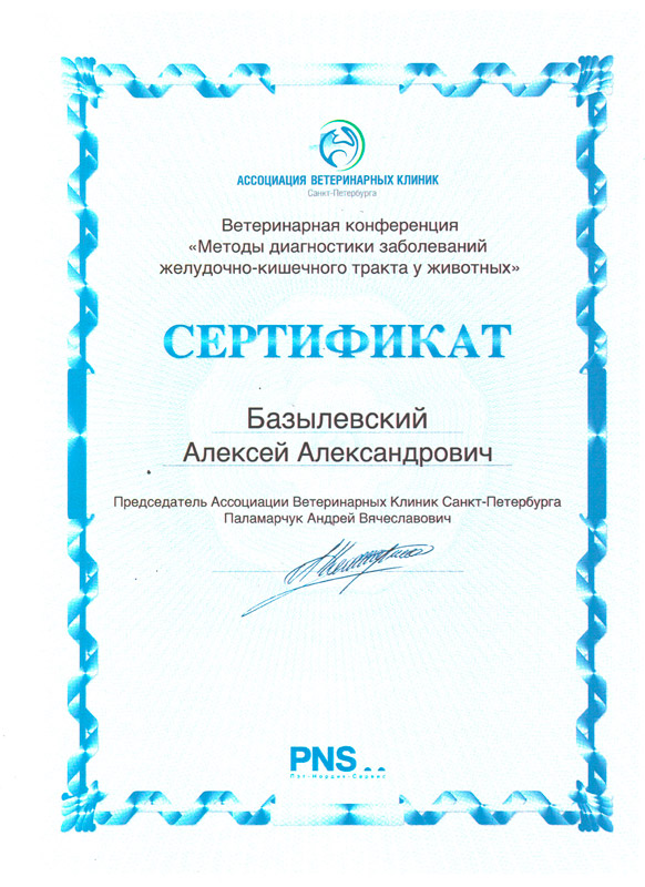 sertifikat-6 Базылевский Алексей Александрович