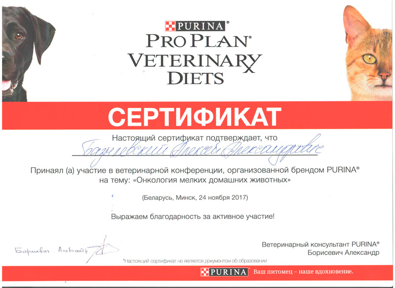 sertifikat-9 Базылевский Алексей Александрович