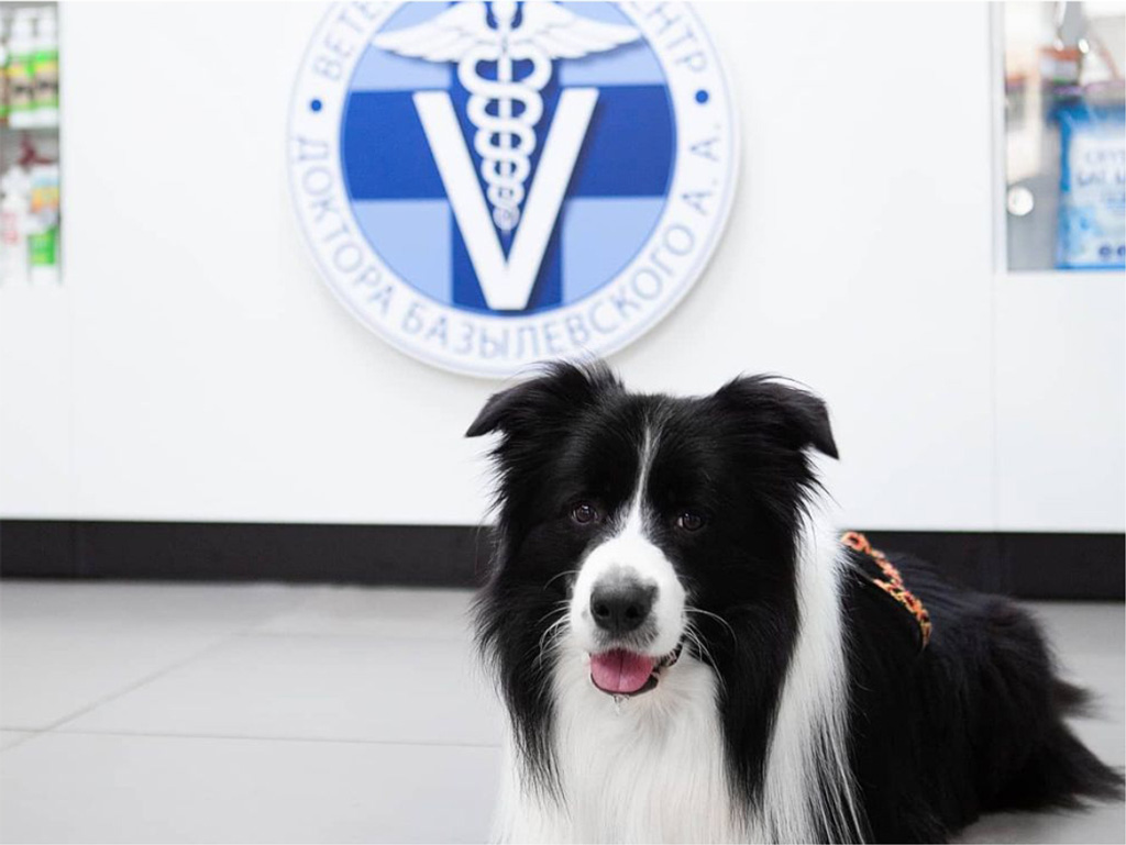vetcentr-novopolotsk Контакты