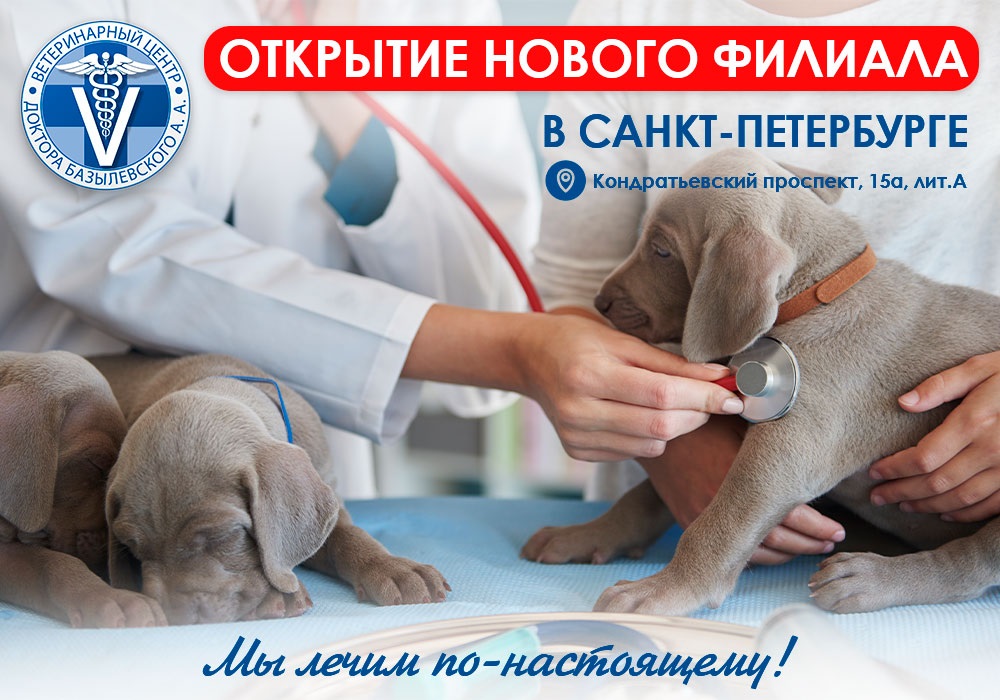 Открытие нового филиала Базылевского