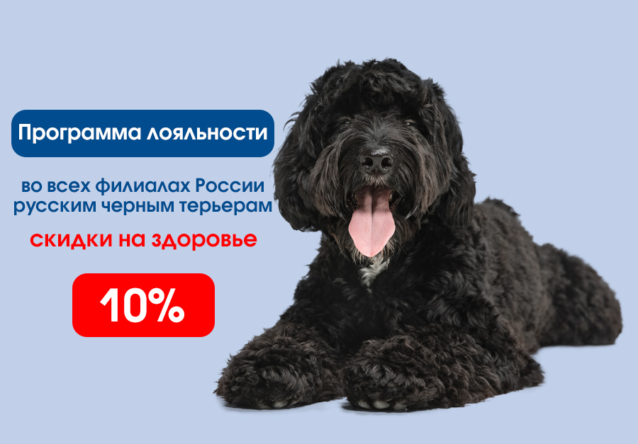 programma-loyalnosti-russkim-chernym-tereram Программа лояльности: скидки на здоровье