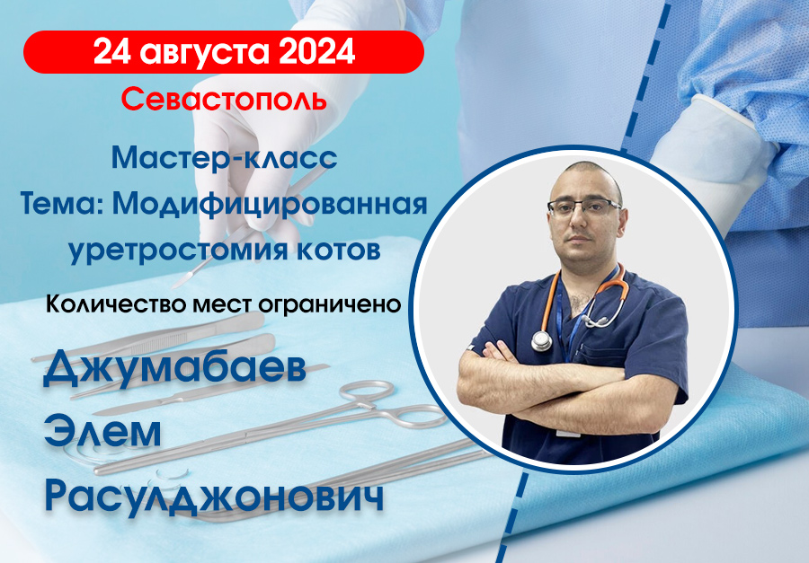 Мастер-класс модифицированная уретростомия котов