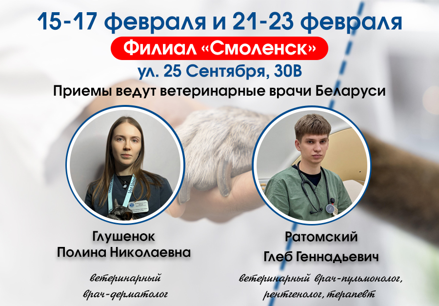 Врачи Беларуси в Смоленске