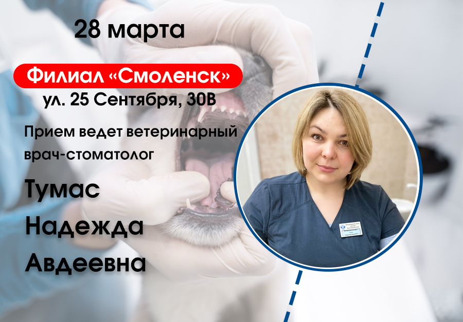 Прием ведет Тумас Надежда Авдеевна