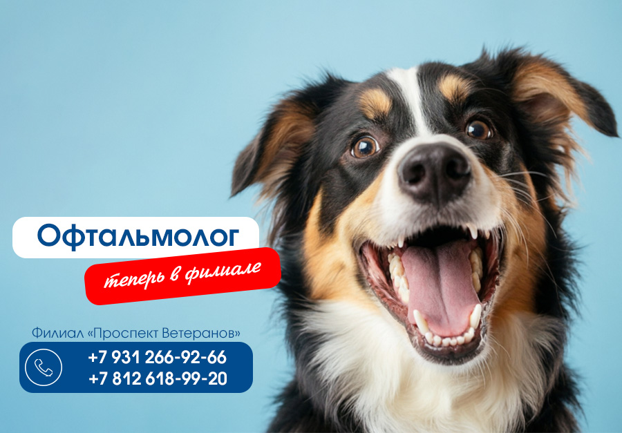 Офтальмолог в филиале Ветеранов