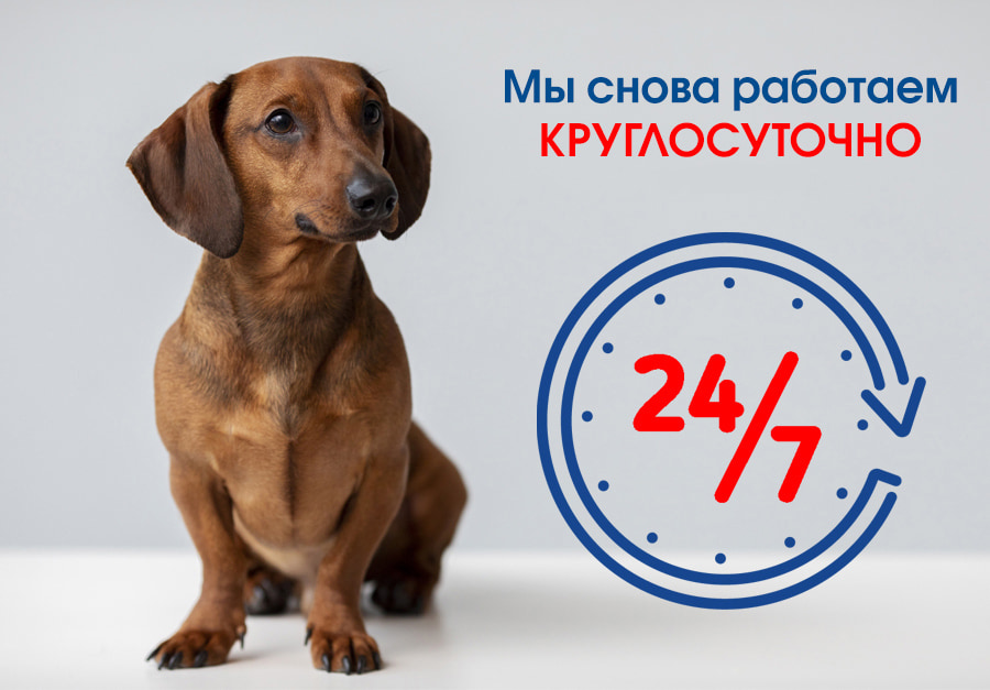 Круглосуточно Смоленск