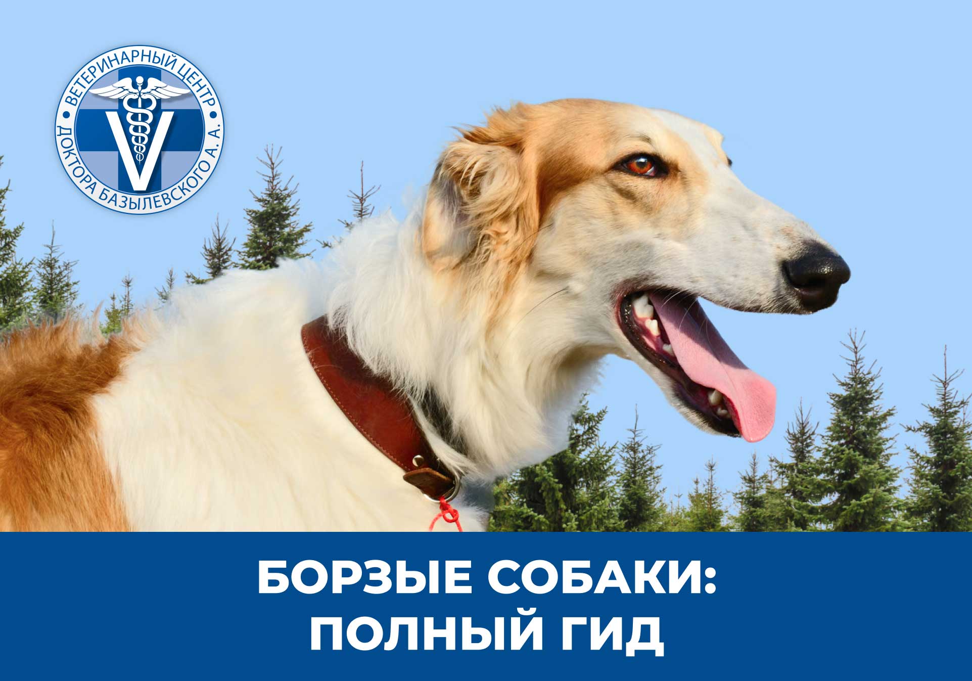 борзая собака на фоне деревье